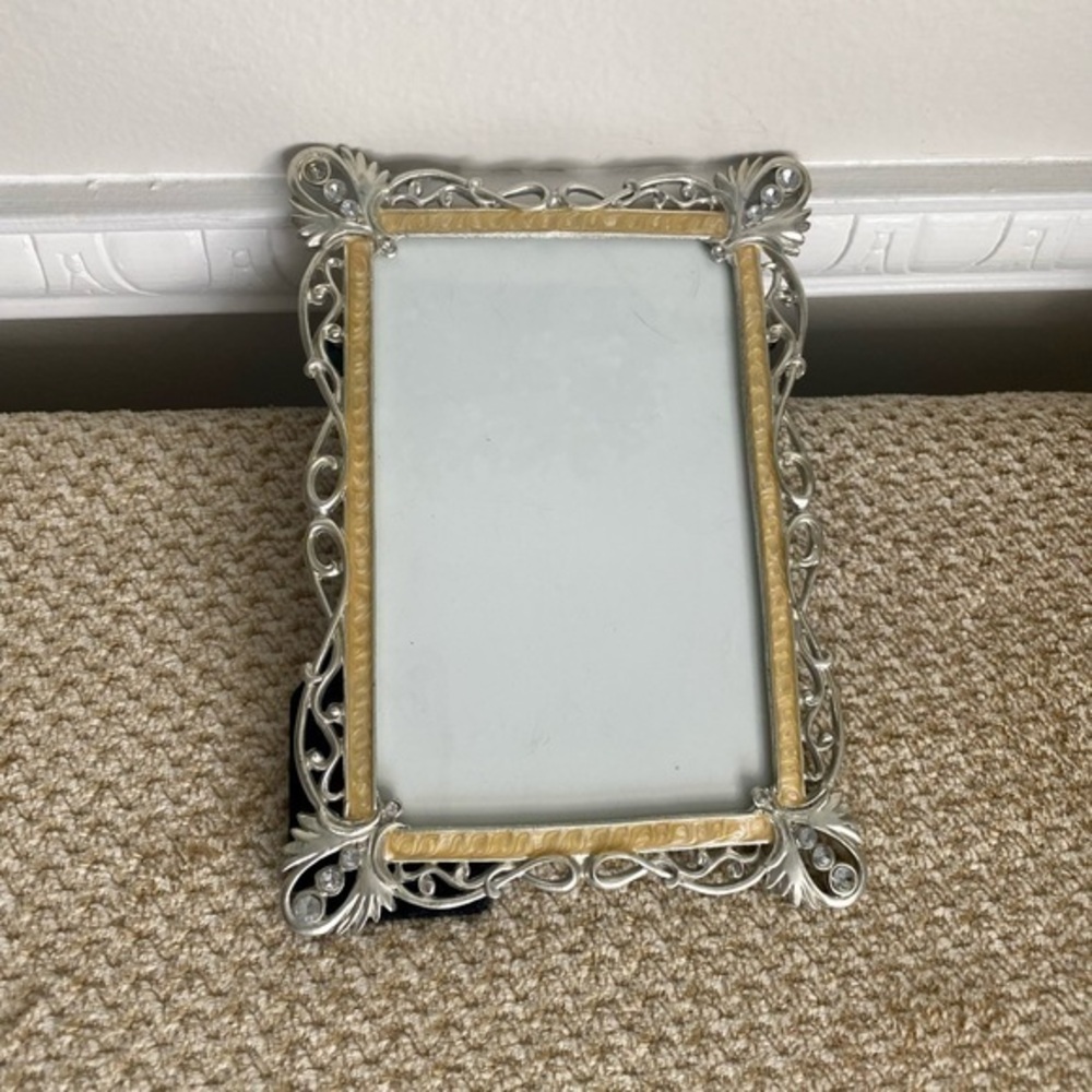 Elegant Silver and Gold Picture Frame